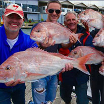 Kingfish Charter