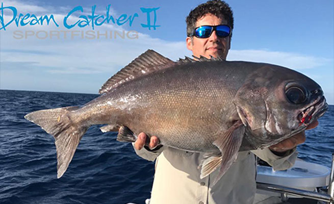 Sword Fish Fishing Charter